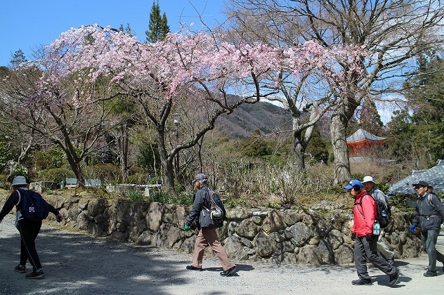 b0044663_13223498.jpg