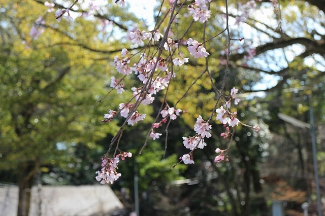 b0044663_13262898.jpg
