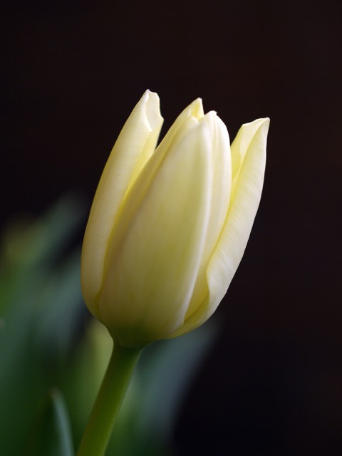 c0008664_21322226.jpg