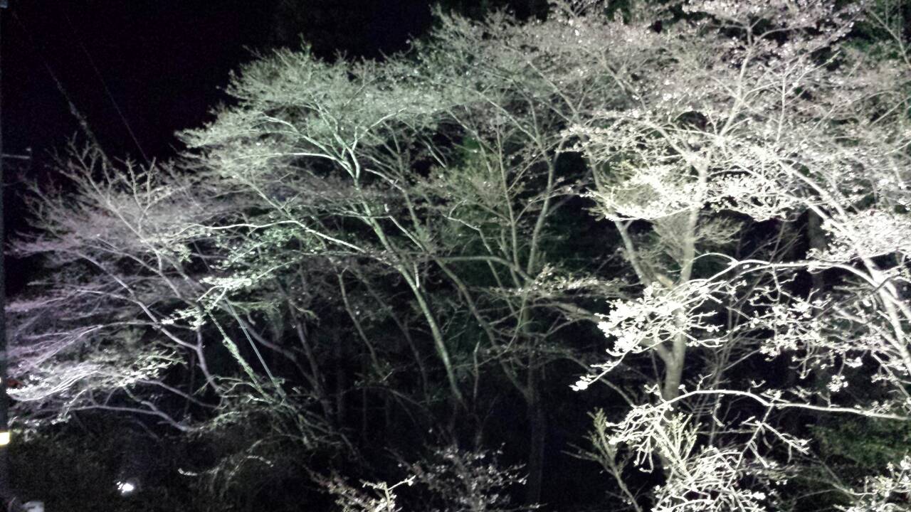 a0112066_13131592.jpg