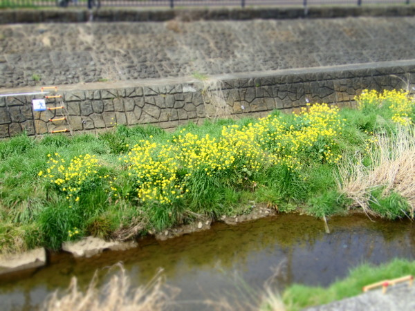 c0122670_21285293.jpg