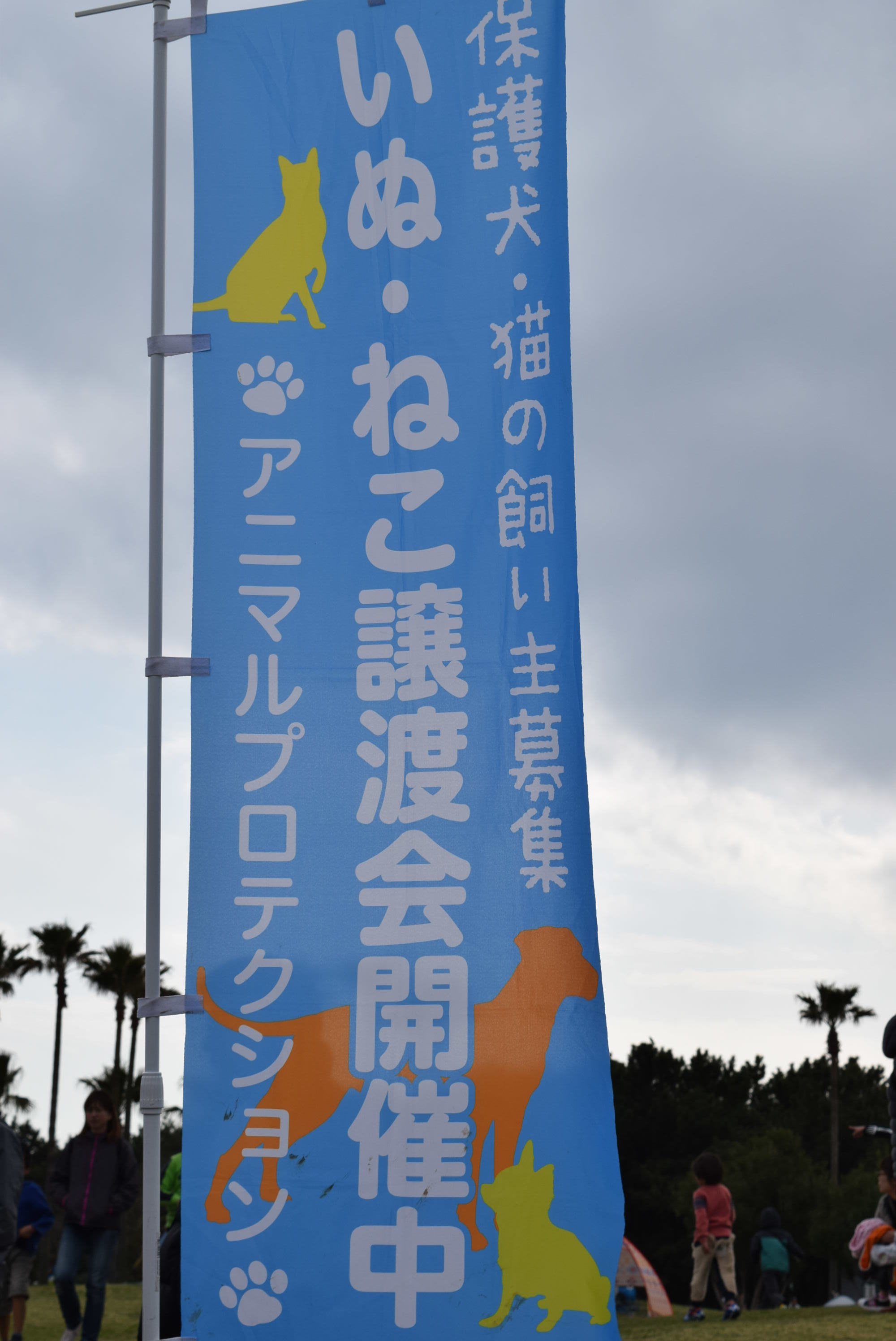 b0242873_01132052.jpg