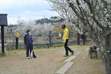 e0121583_2015441.jpg