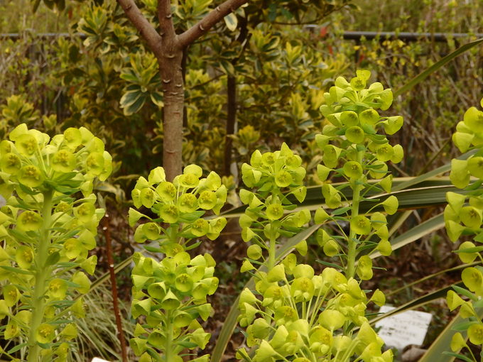 b0197486_9455193.jpg
