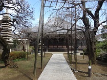 d0183387_16180229.jpg