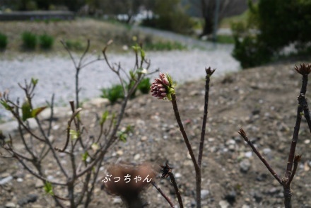 f0353990_21031315.jpg