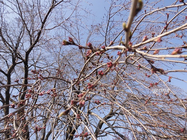 f0202291_23161011.jpg