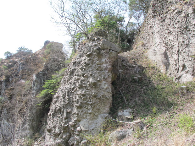 a0166196_11274438.jpg