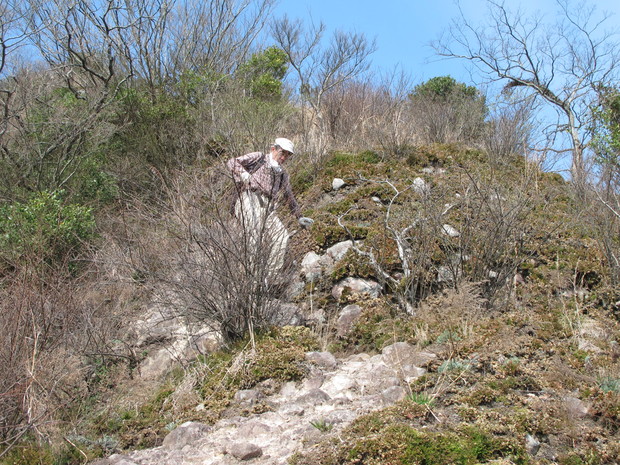 a0166196_1148204.jpg