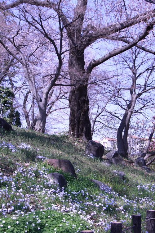 d0248502_08374238.jpg