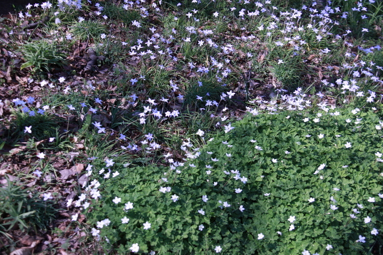 d0248502_08380511.jpg