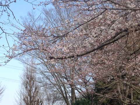 f0162908_20261870.jpg