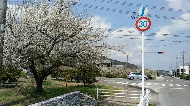 f0231709_14224430.jpg