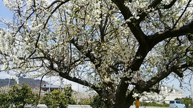 f0231709_14242658.jpg