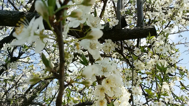 f0231709_14261582.jpg