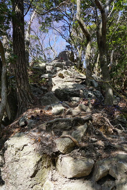 e0077010_2150578.jpg