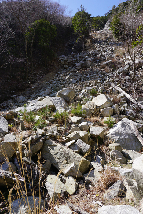 e0077010_2225915.jpg