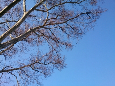 c0352015_21591437.jpg