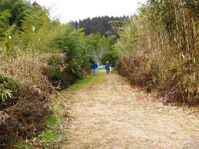 d0137326_00121536.jpg