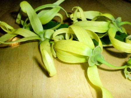 a0346332_23525628.jpg