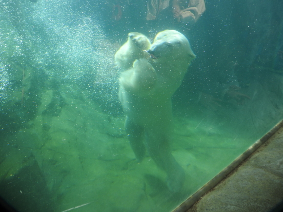 f0118332_23132230.jpg