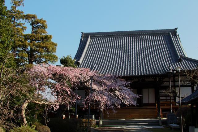 c0309734_23375494.jpg