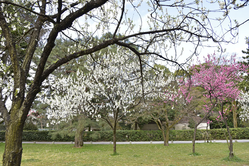b0042837_17524068.jpg