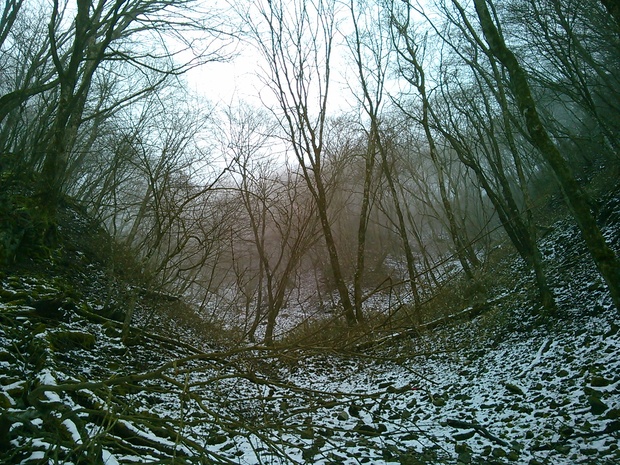 d0107938_12513742.jpg