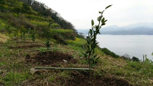 f0347942_22051939.jpg