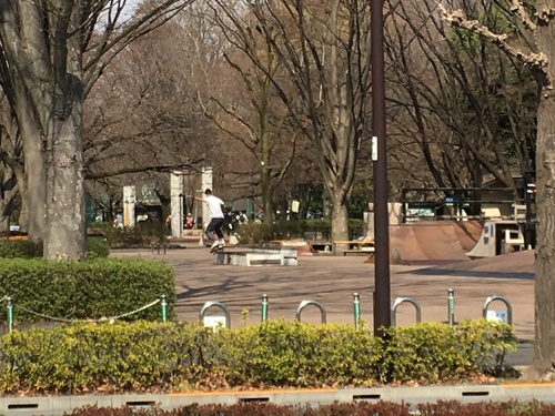 a0314846_1628444.jpg