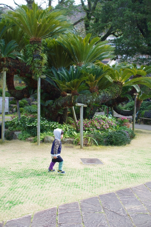 a0299749_20353928.jpg