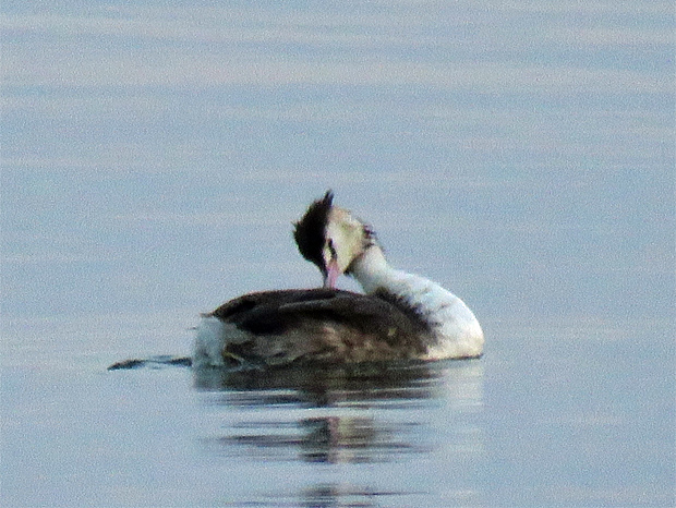 f0214649_55375.jpg