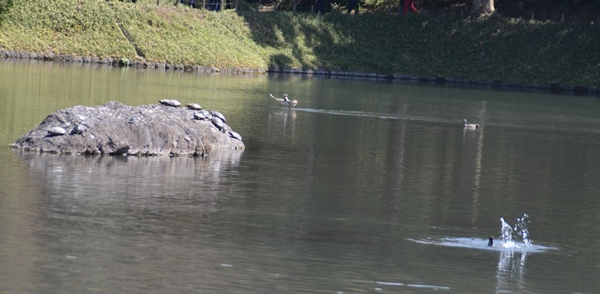 e0020957_17515086.jpg