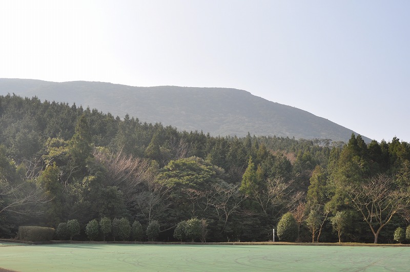b0104861_20284861.jpg