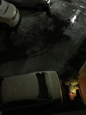 c0011862_9344537.jpg