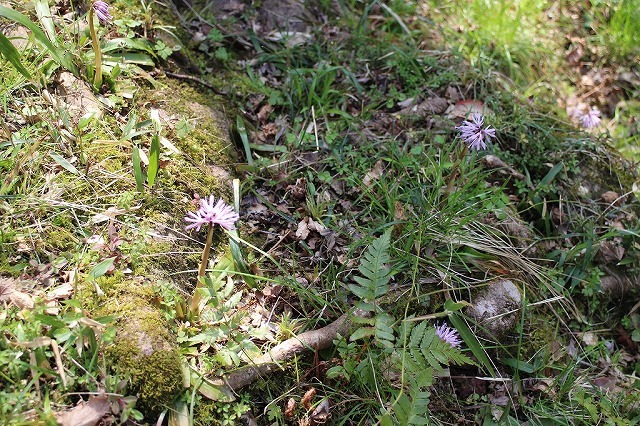 b0044663_10572464.jpg