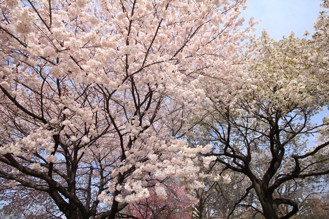 b0361063_08462527.jpg