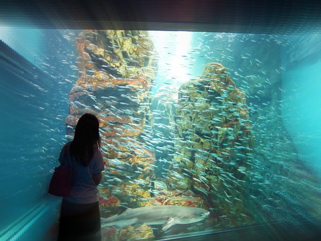 b0361063_08485520.jpg