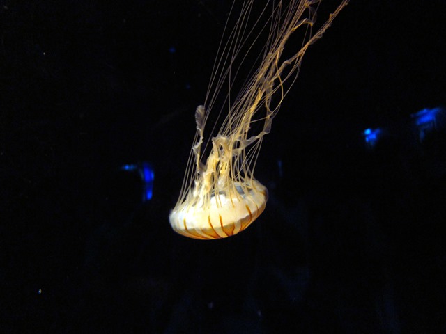 b0361063_08485799.jpg