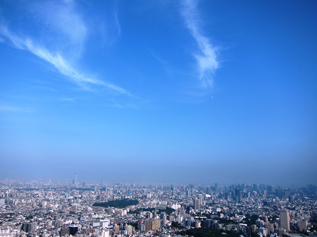 b0361063_08495134.jpg