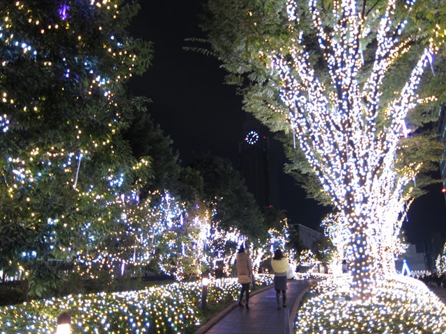 b0361063_08510474.jpg