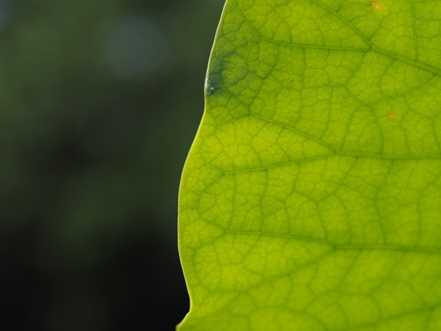 b0361063_09014357.jpg