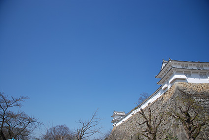 b0059664_1013532.jpg