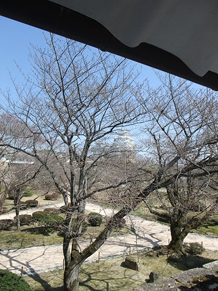 b0059664_10135549.jpg