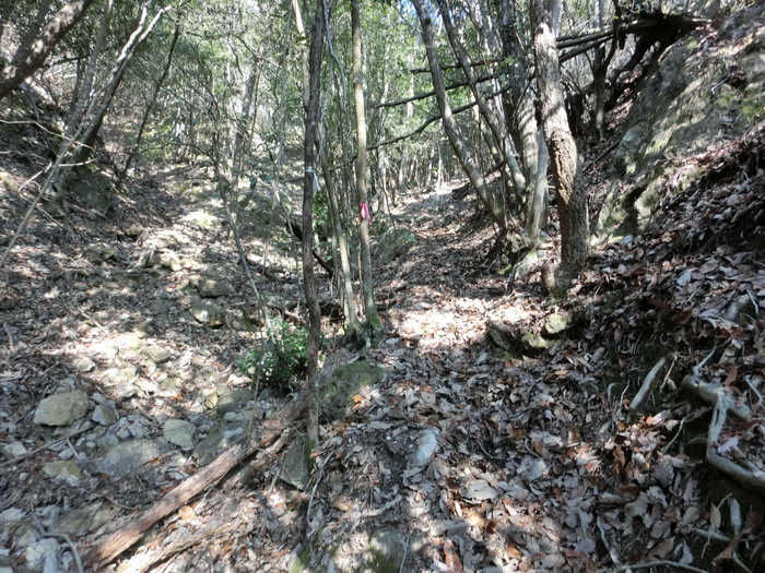 b0185573_15595917.jpg