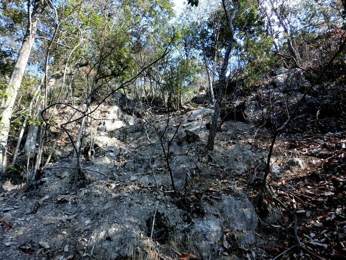 b0185573_1685939.jpg
