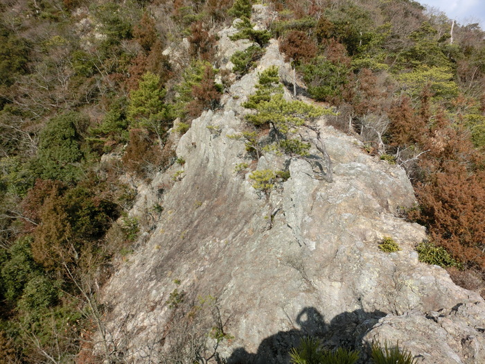 b0185573_17111212.jpg