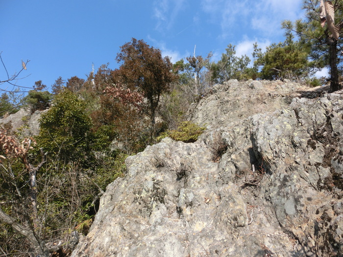 b0185573_1782523.jpg