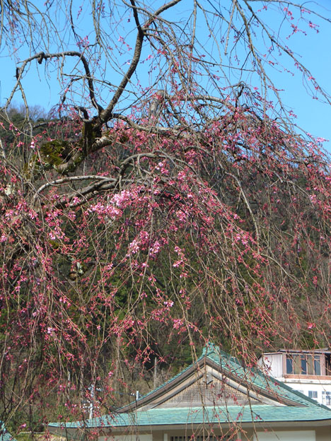 d0095673_1230369.jpg