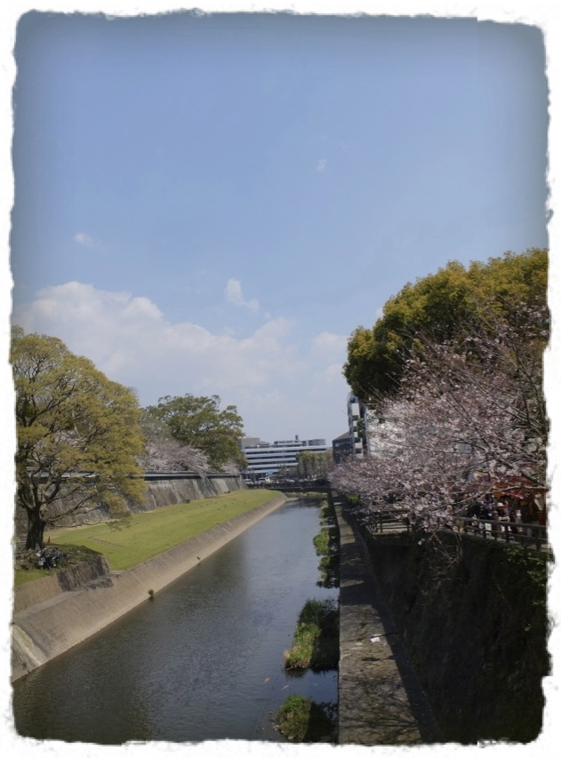 c0345081_1372731.jpg